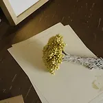 Citta Dei Nicliani Hotel 4*