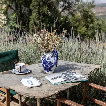 호텔 시타 데이 니클리아니 Koíta