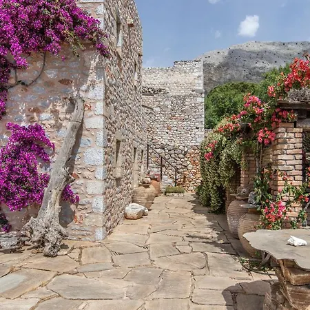 시타 데이 니클리아니