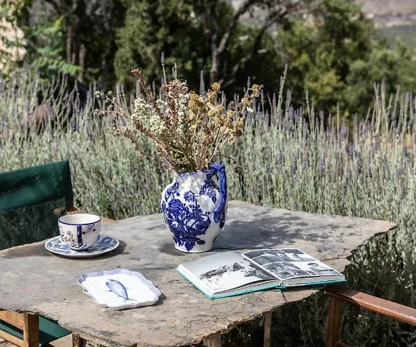 Hotel Citta Dei Nicliani Koíta