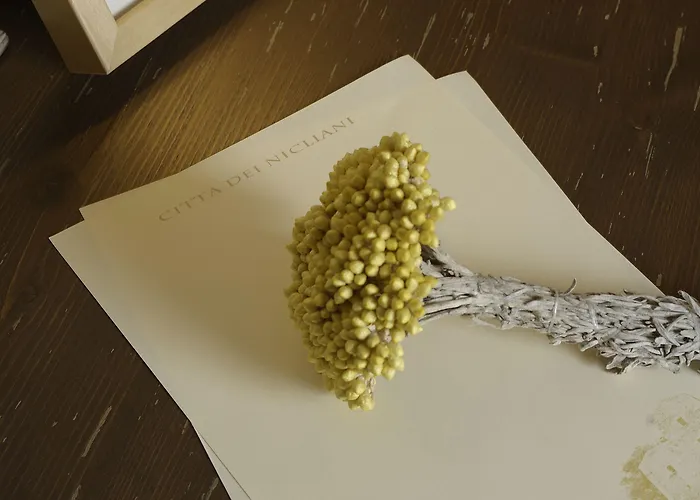 Citta Dei Nicliani Otel 4*