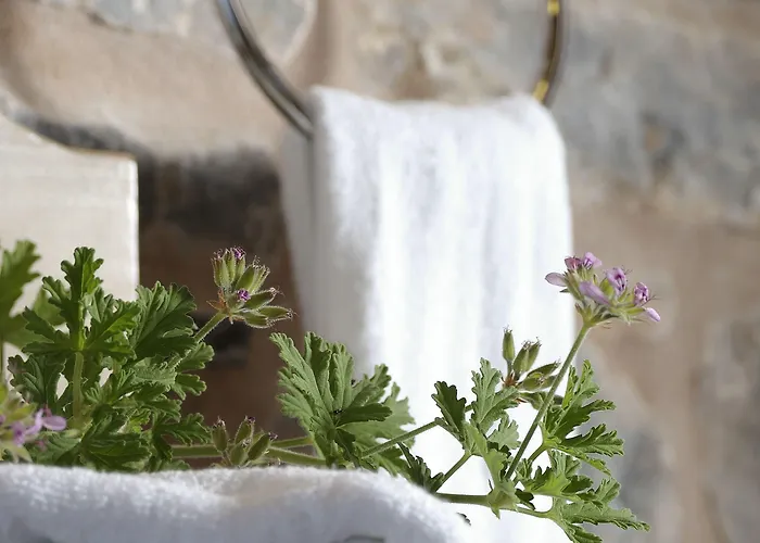 Citta Dei Nicliani Hotel